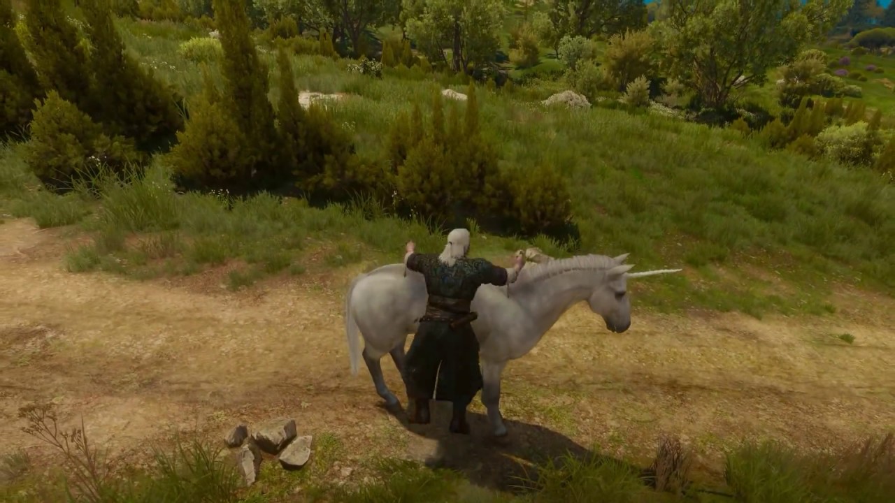 Witcher 3 - Unicorn Dust Mod