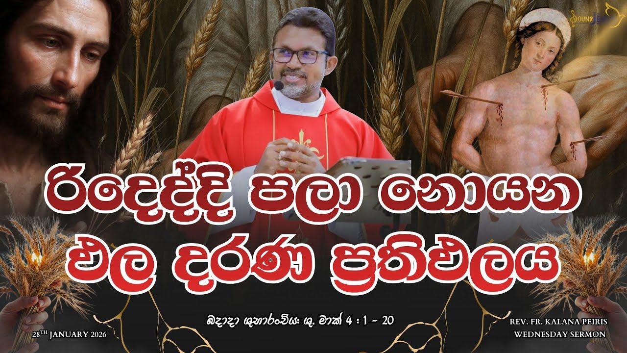 රිදෙද්දි පලා නොයන ඵල දරණ ප්‍රතිඵලය Wednesday Sermon| ශු. මාක් 4:1-20| Rev. Fr. Kalana Peiris