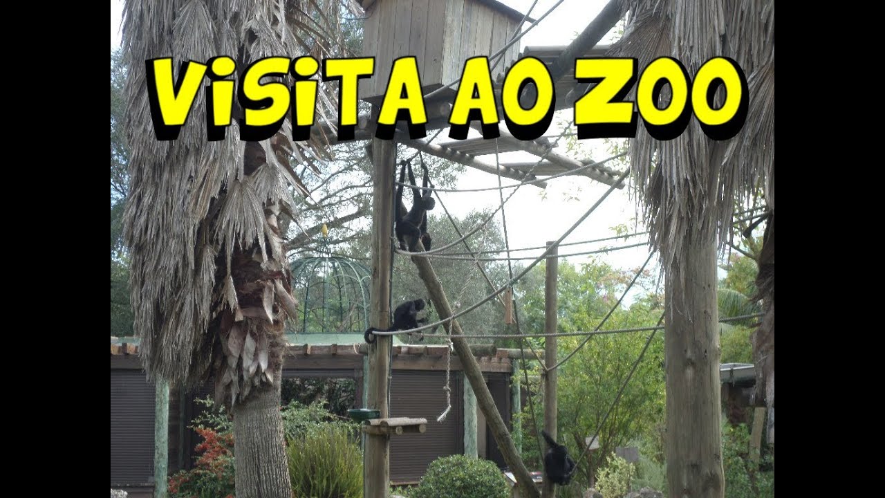 VISITA AO ZOO LISBOA