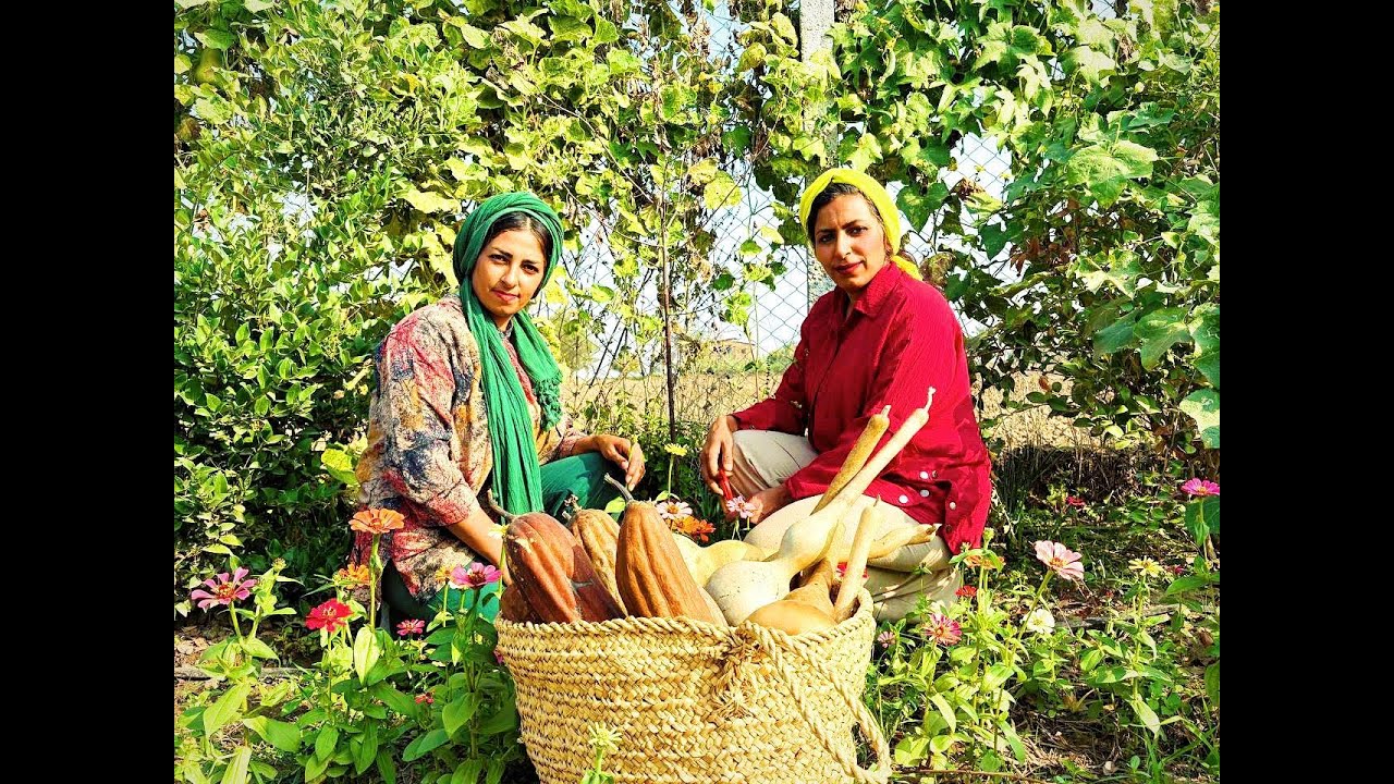 Amazing Harvest of Luffa and Bottle Gourd; The Result of Months of Waiting!