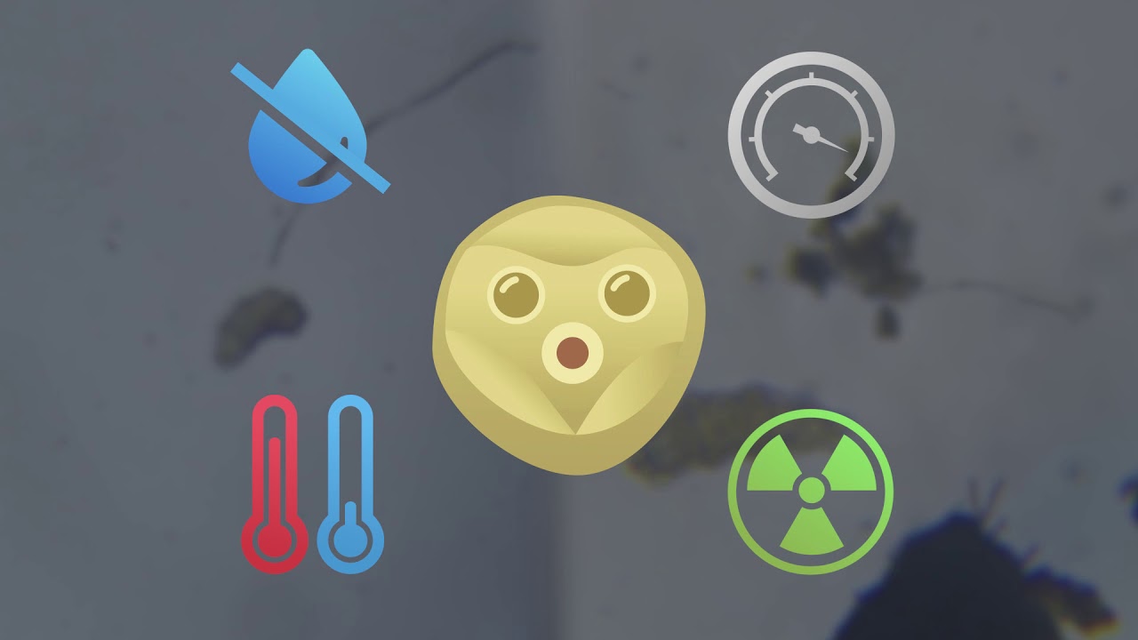 Niesporczaki / Experyment - Science Inspired Video Competition