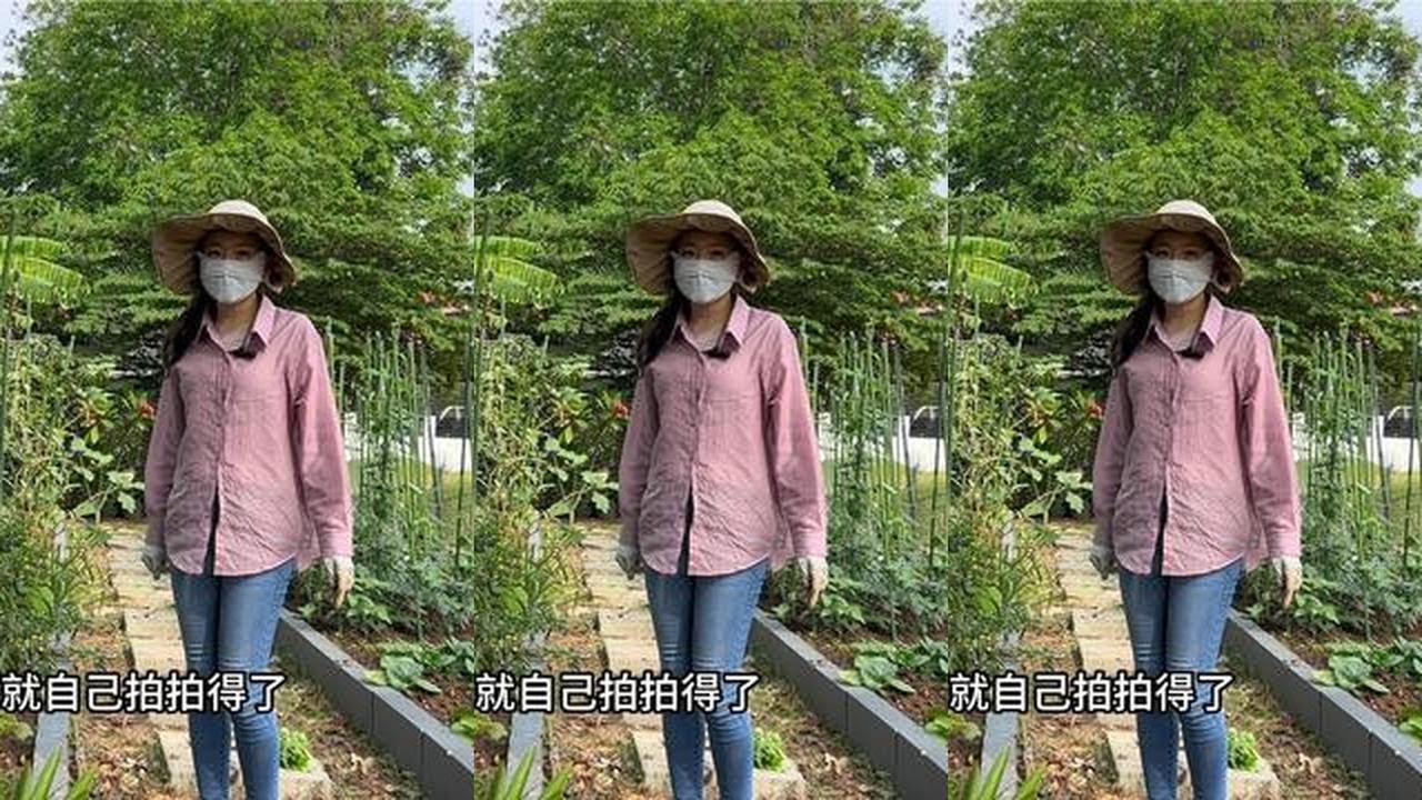 种菜就像生活，不用心就没有收获#田园生活 #海外生活 #换种方式记录生活