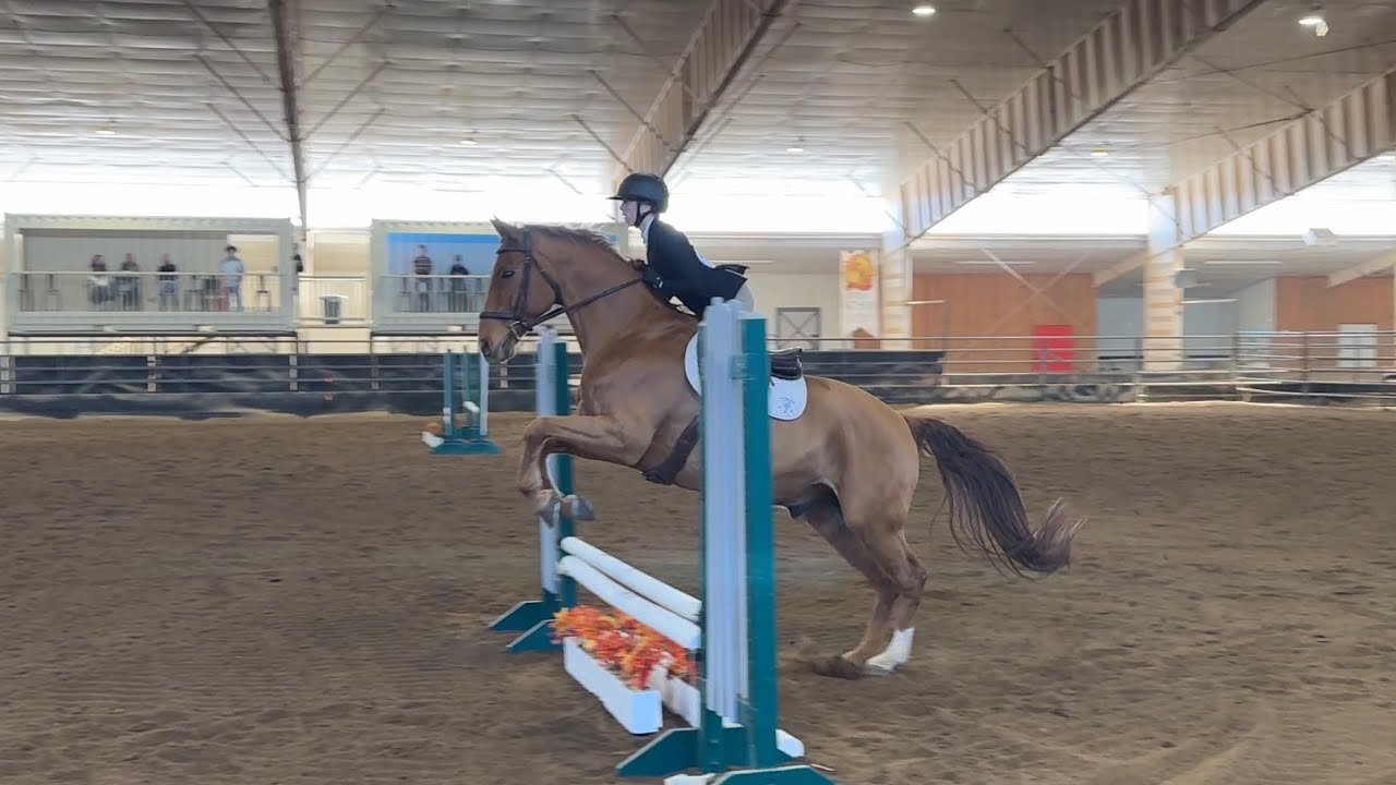 15. IEA Zone 8 Finals Varsity Open 2’6 Team o/f