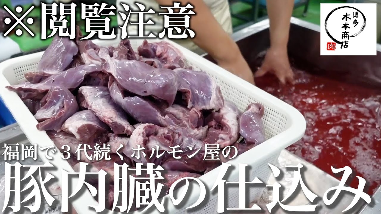 【閲覧注意】50年続く福岡ホルモン屋の豚内臓の仕込みをお見せします