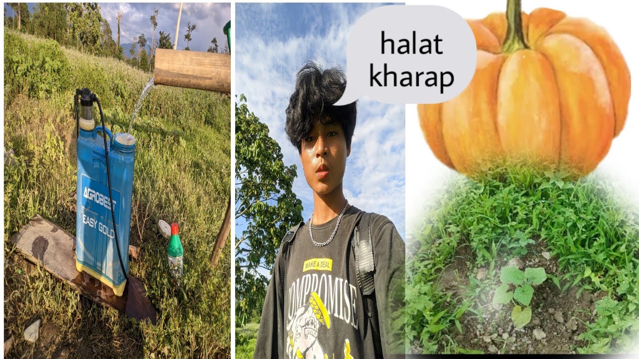 Codhu me dobai vallge life vlogs