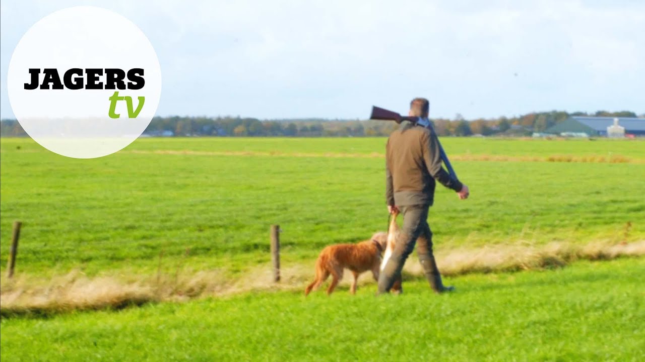 JagersTV - Kleinwildjacht met Bjorn