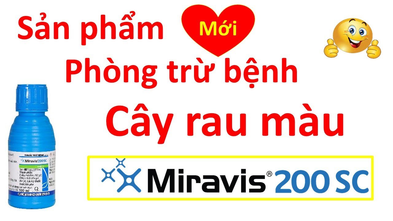Miravis 200 SC  cách phòng trị bệnh rau màu, cây ăn trái mới | Syngenta | thuốc trừ bệnh