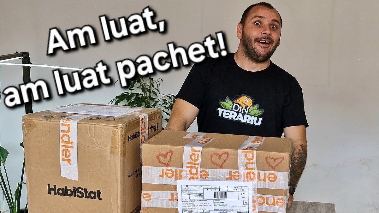 Am primit pachet de la Endler.ro! Aveți cod de reducere la cumpărături DT10 !