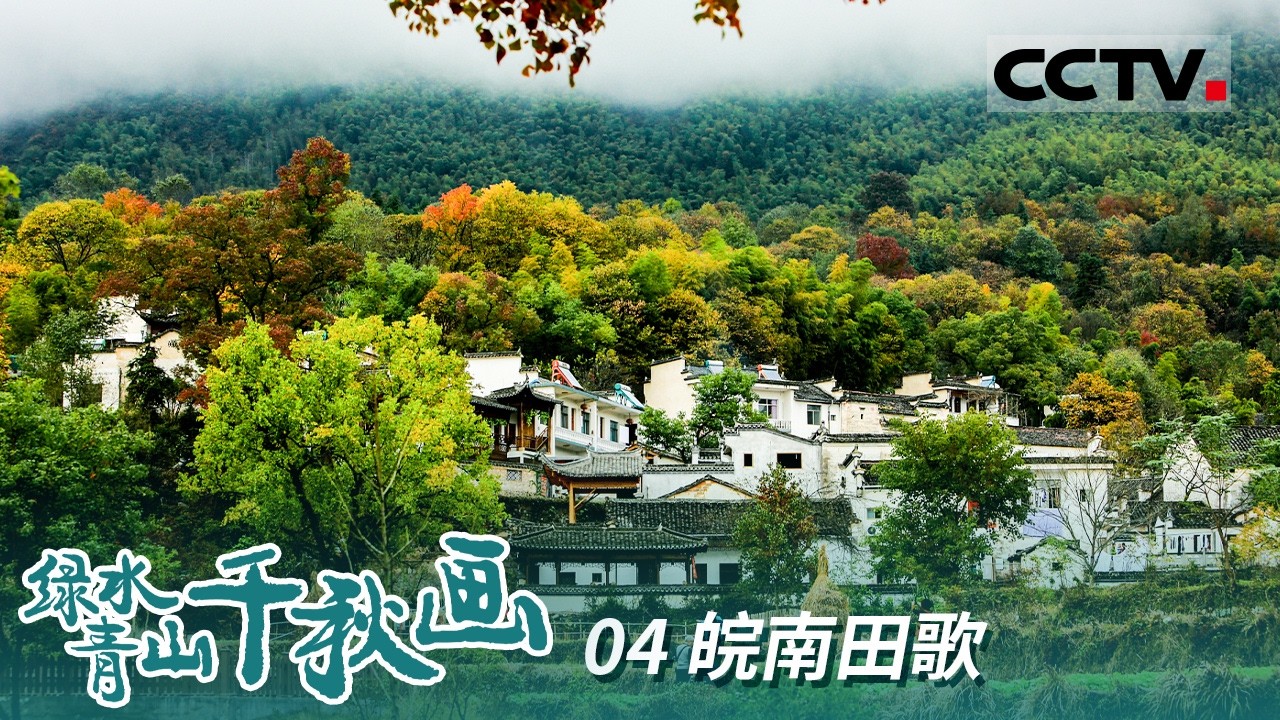 《绿水青山千秋画》04 皖南田歌：走进“蝙蝠形”村落 探索塔川古村的风水传奇【CCTV纪录】