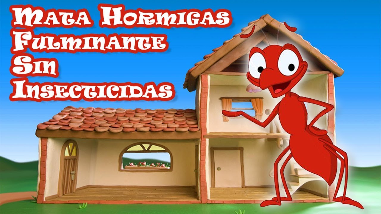 Mata Hormigas Fulminante Sin Insecticidas Todo Natural