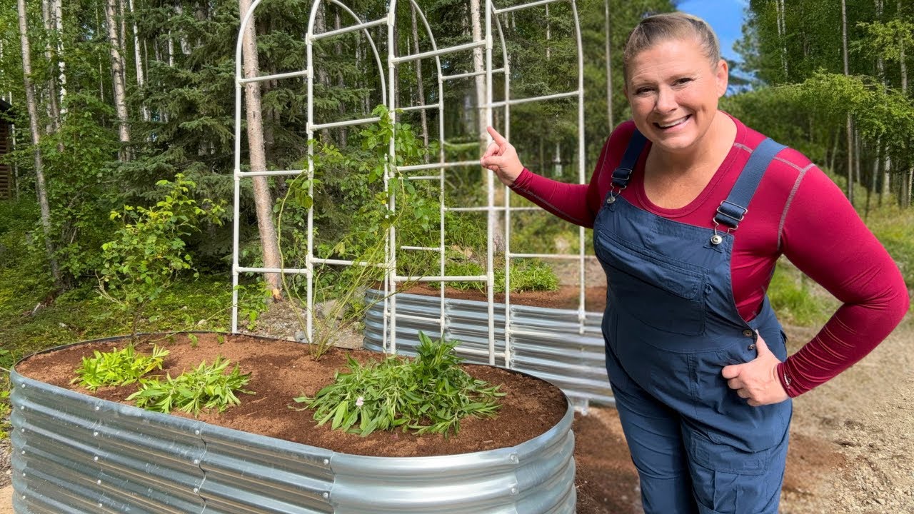 Fall Planting in Alaska! Building Raised Garden beds. @Landguardgarden