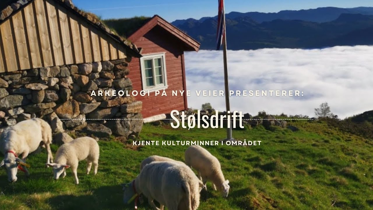 Stølsdrift, besøk på Dokkolstølen