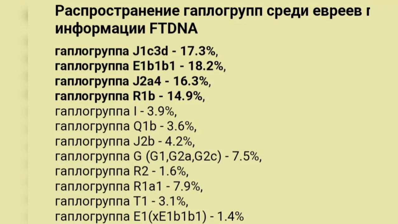 39. Нохчи хранители Ковчега.