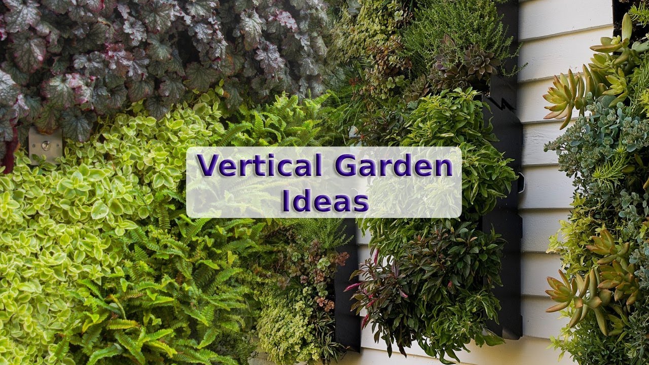 200+ Vertical Garden Ideas 2026: Top Trends for Your Backyard