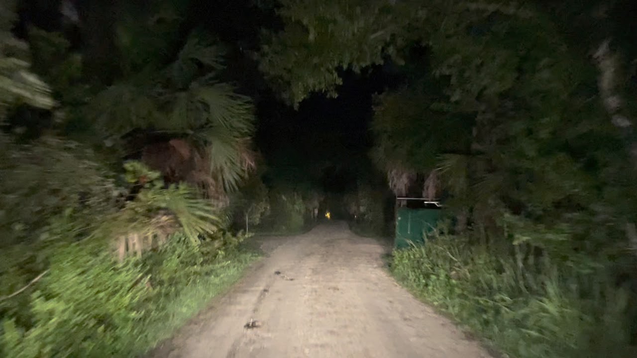 “Bear Island” Campground ⛺️ Florida Everglades At Night 2021