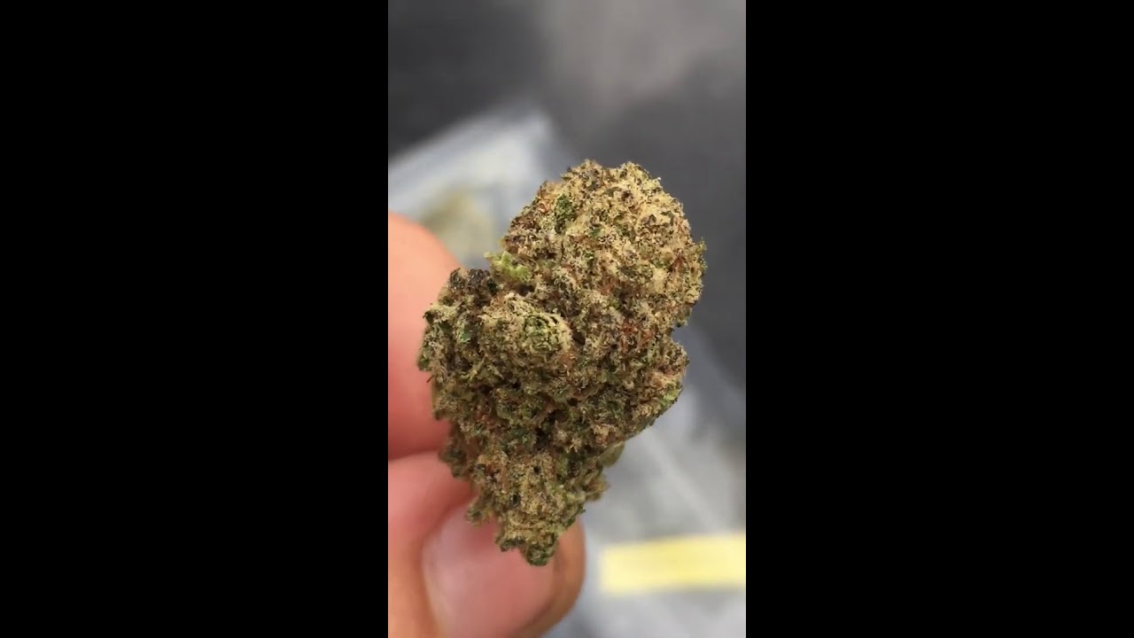 Pistachio