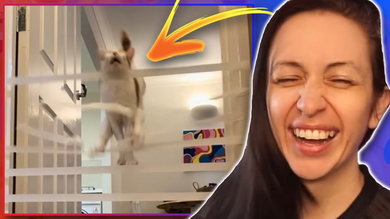Смеёшься — проигрываешь!? И я почти ЭТО СДЕЛАЛ?! ~ #79