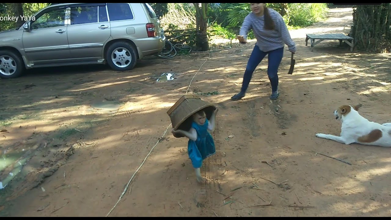 YaYa Runs Screaming With Carrying Basket While Mom Following
