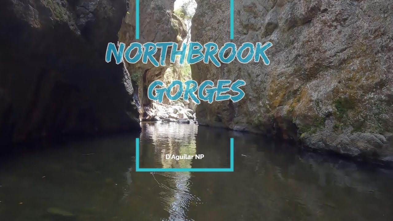 Northbrook Gorges 2025