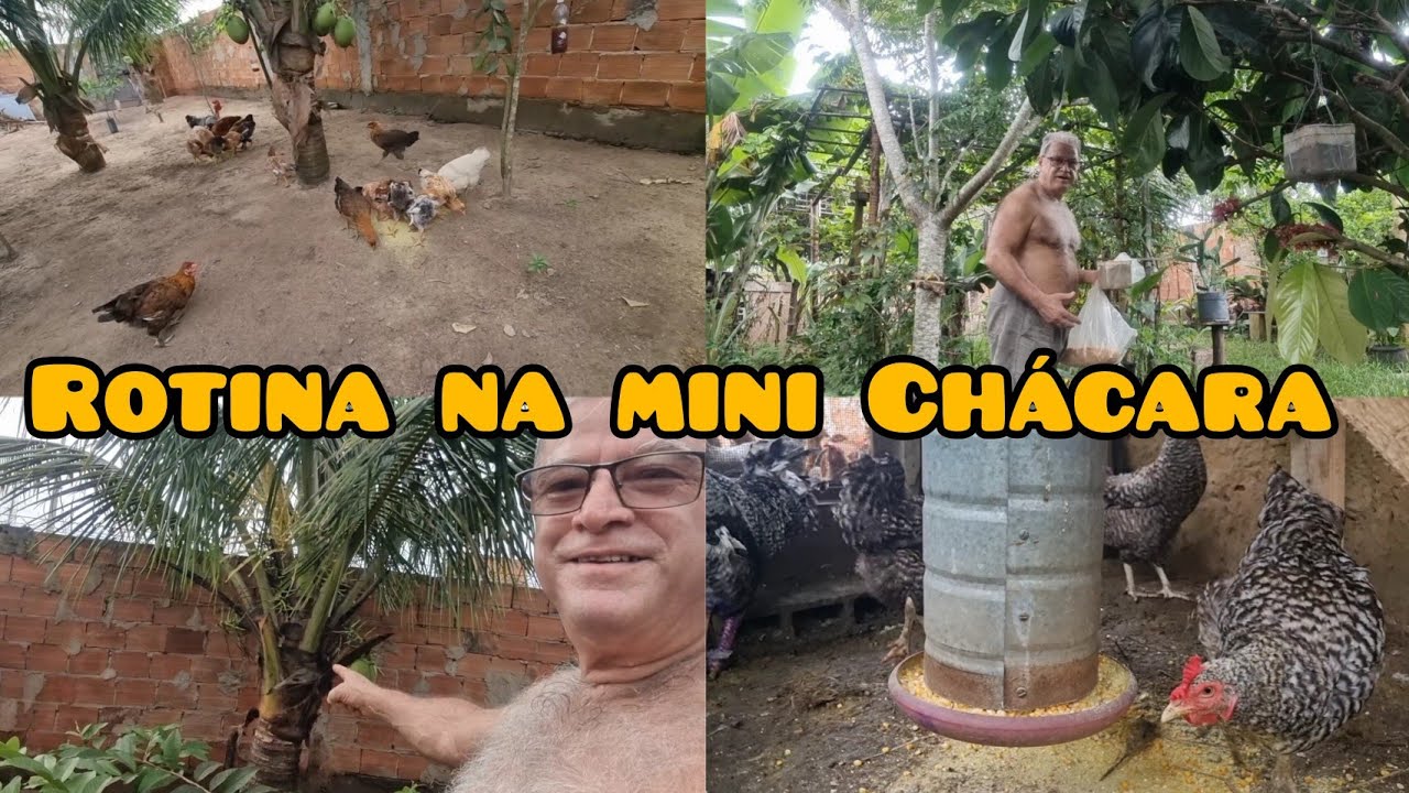 Minha rotina de cuidados na mini chácara + bate papo. #video #rotinadodia #chácara #canal