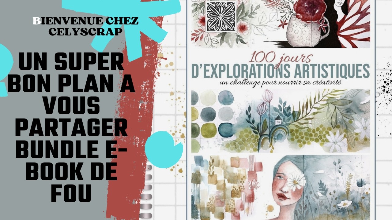 UN SUPER BON PLAN A VOUS PARTAGER BUNDLE E BOOK DE FOU