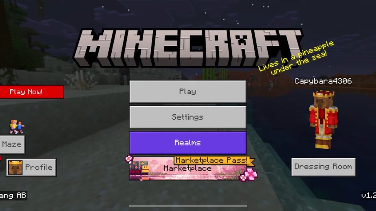 Here’s a tour of my Minecraft world and it’s progress so far😱￼