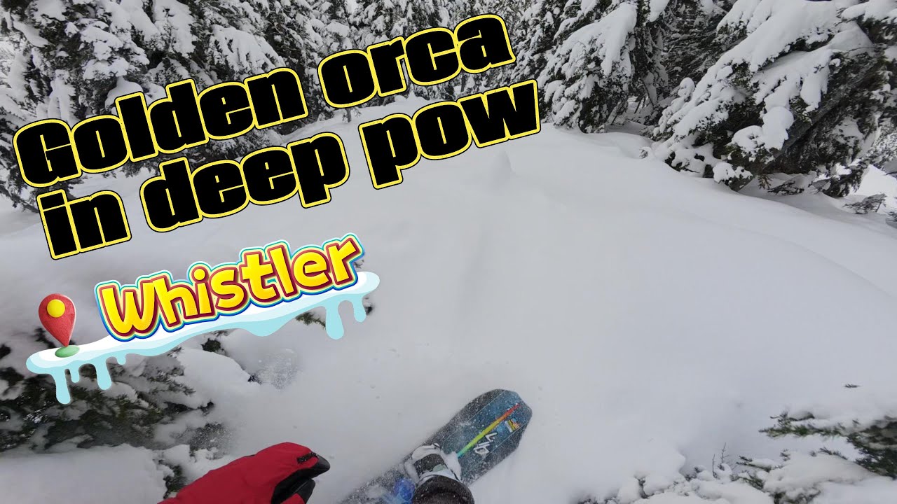 Whistler perfect condition for Libtech Golden orca | 2026.01.07