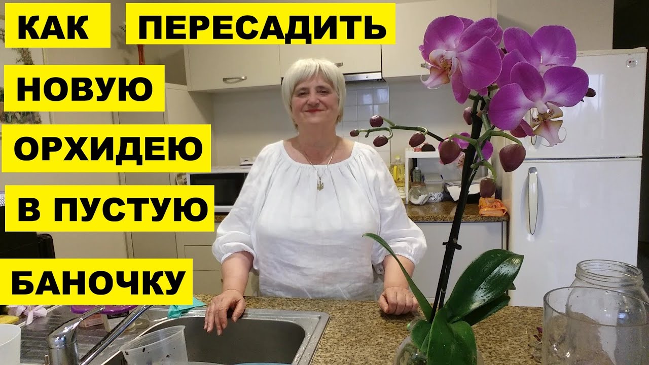 КАК ПЕРЕСАДИТЬ НОВУЮ ОРХИДЕЮ В ПУСТУЮ БАНОЧКУ