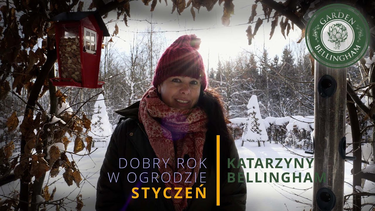 🌱 Co robimy w ogrodzie w stycznie i terminarz siewów na 2026 🌸 Kiedy można siać groszki pachnące?