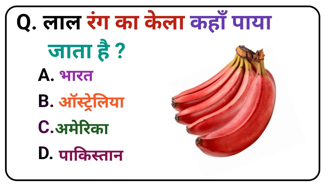Gk question and answer ll hindi gk question and answer ll hindi gk ll gk ke saval bahuvikalpi