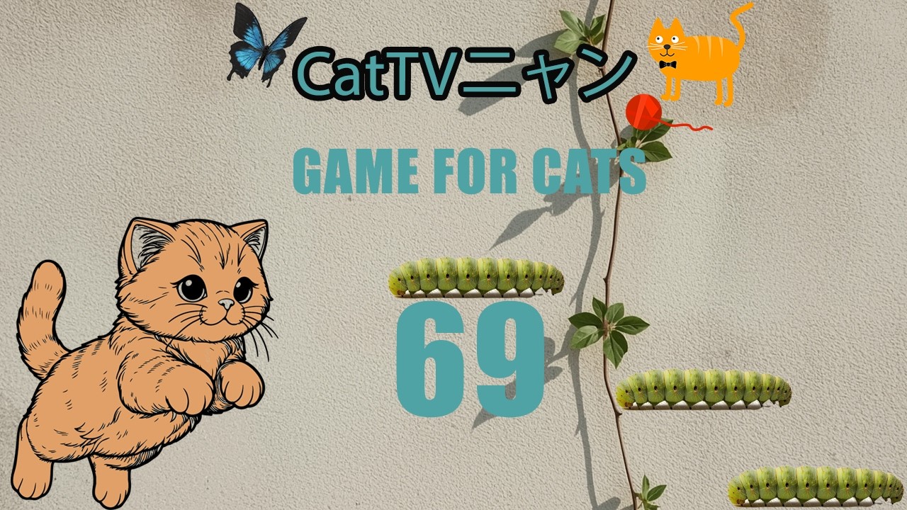 猫の本能全開！5時間の狩りタイム🎯 | CatTVニャン #69
