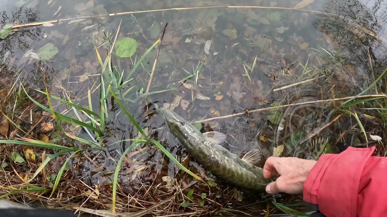 peche en hiver