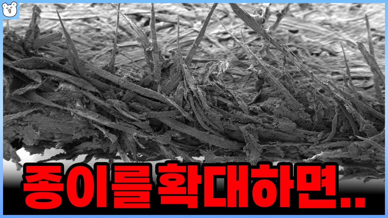 종이에 베이면 눈물나게 아픈 이유