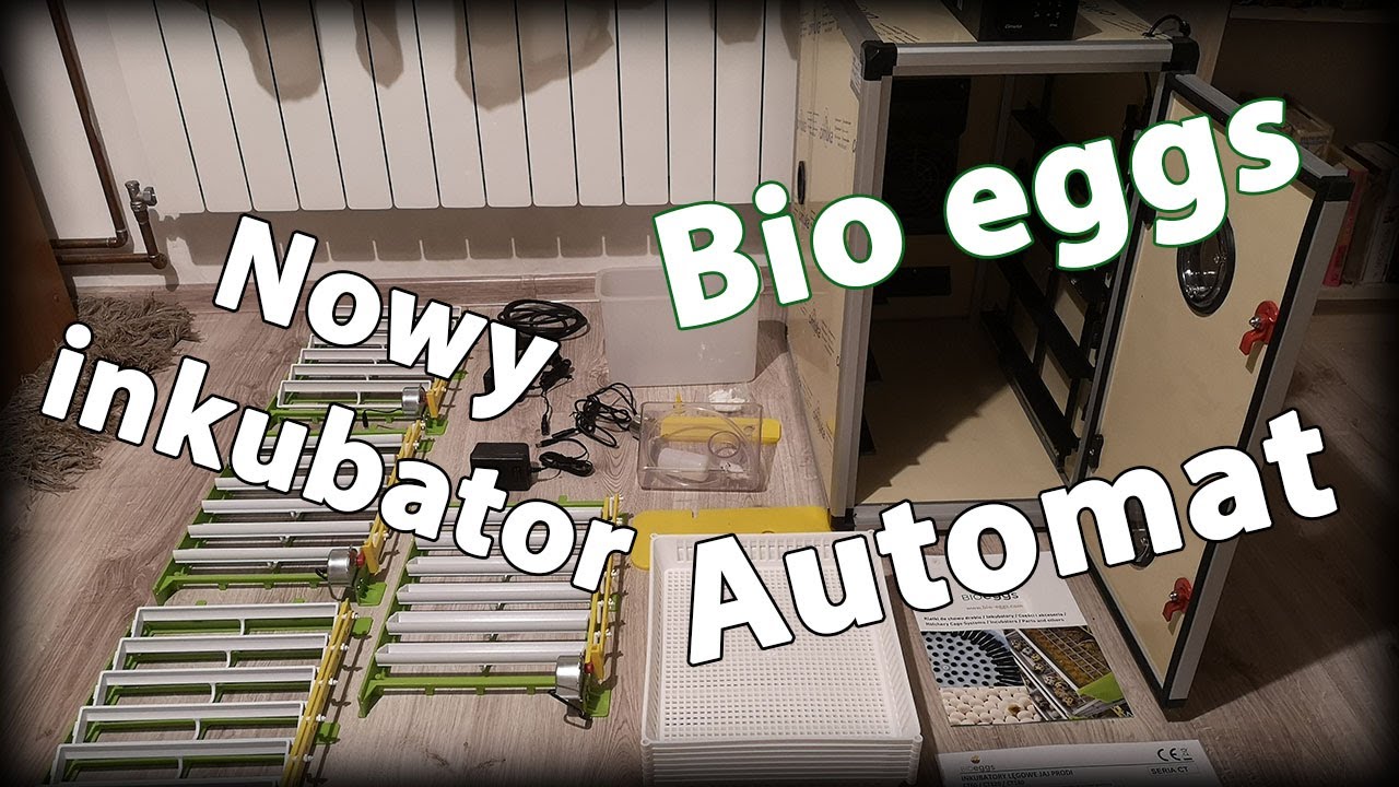 Nowy inkubator - Bio eggs? Pełen automat?