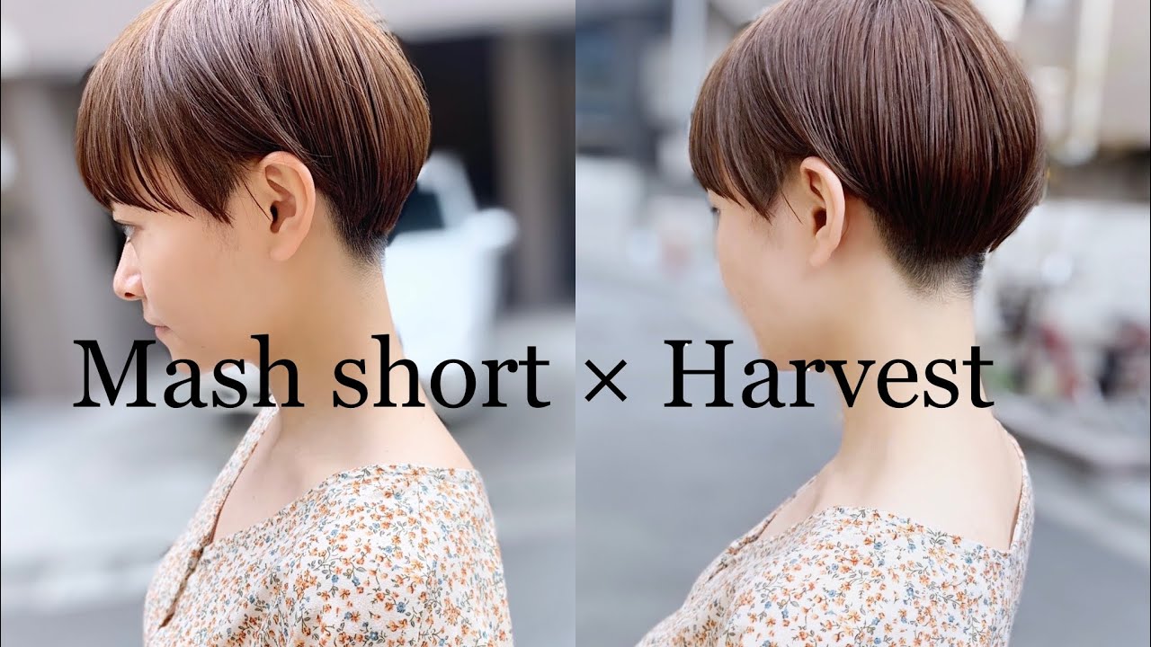 mash short × Harvest / マッシュショート。女性らしい刈り上げスタイル。刈り上げ女子