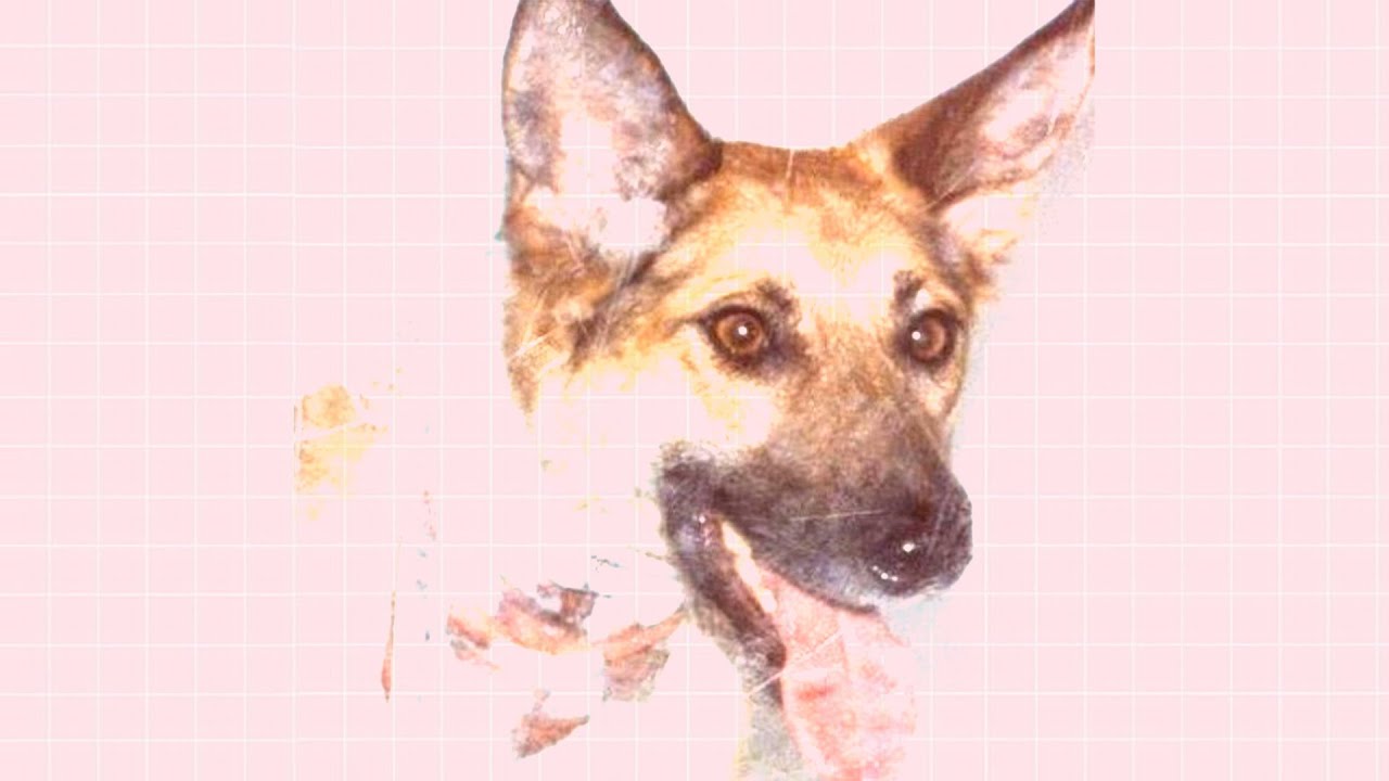I Cani - Alla fine del sogno (Demo)