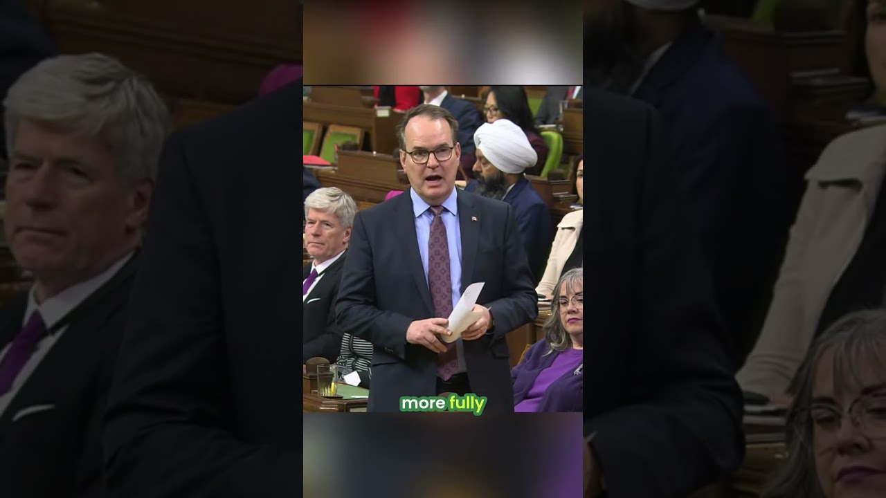 Elizabeth May: 'Foreign interference is a threat to Canadian democracy'