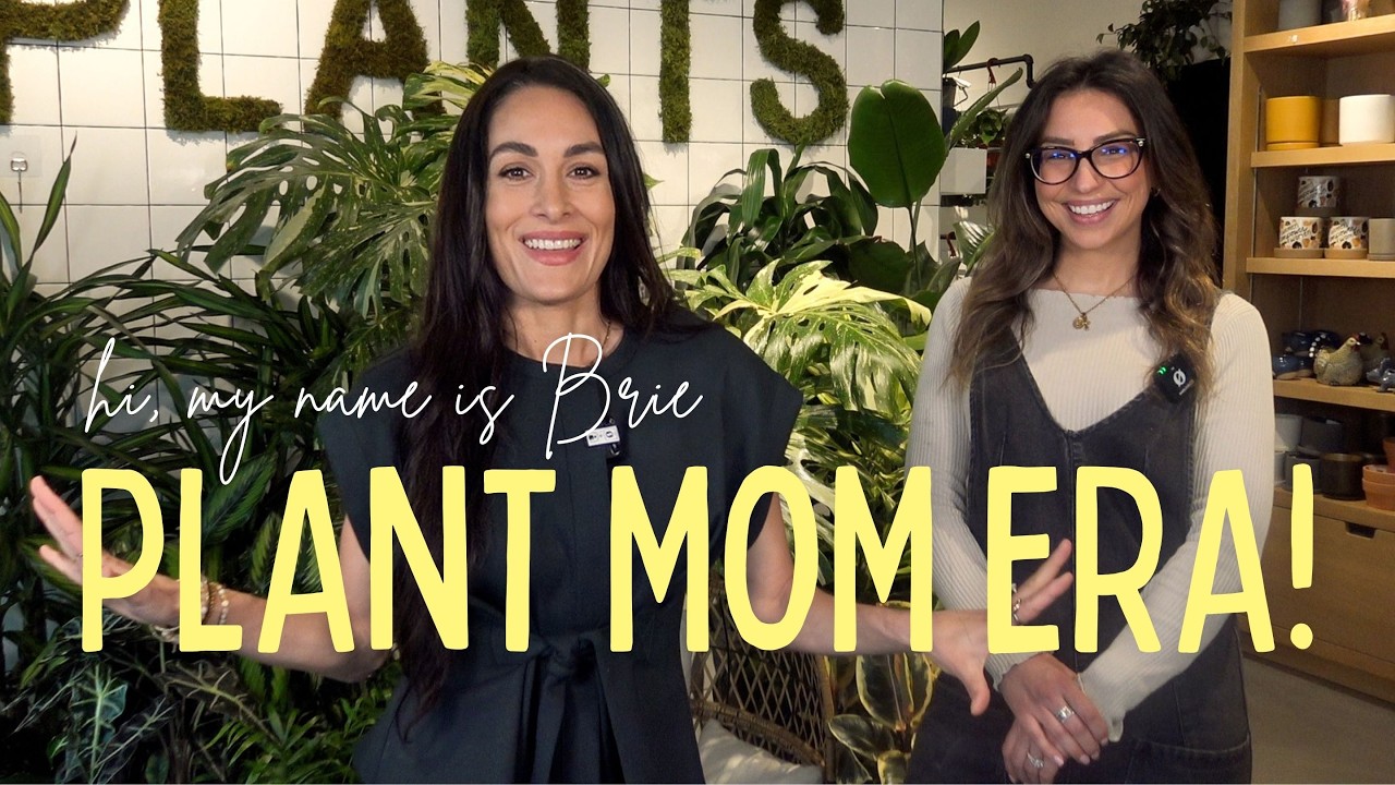We Finally Got Indoor Plants! (And Here's Everything We Learned) | Hi, My Name Is Brie!