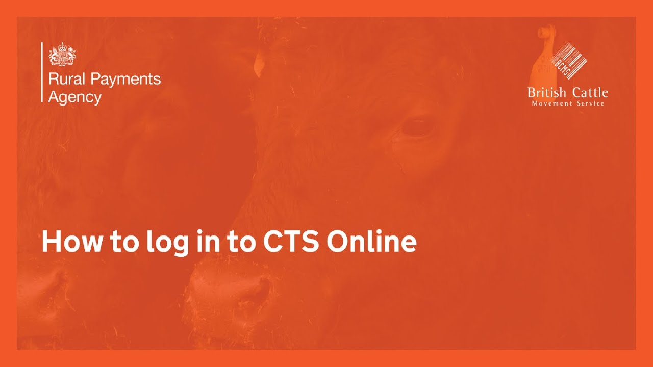 How to log in to CTS Online