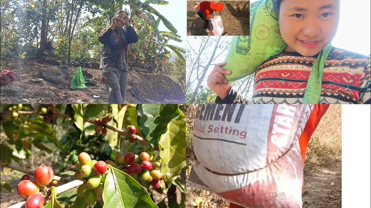 We went to plug coffee in Uncles farm || Family time🥱|| Langa village 😊.....