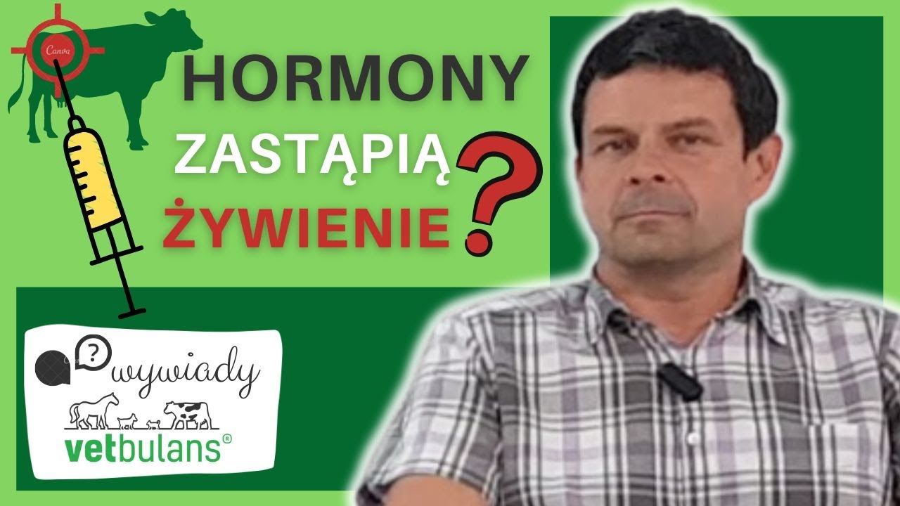 Jakimi lekami  💊 rozwiążesz wszystkie problemy z rozrodem? 💰🐄 | prof. Wojciech Barański wyjaśnia