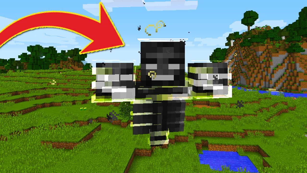 CUM SA TE TRANSFORMI IN ORICE MOB DIN MINECRAFT 1.12 !