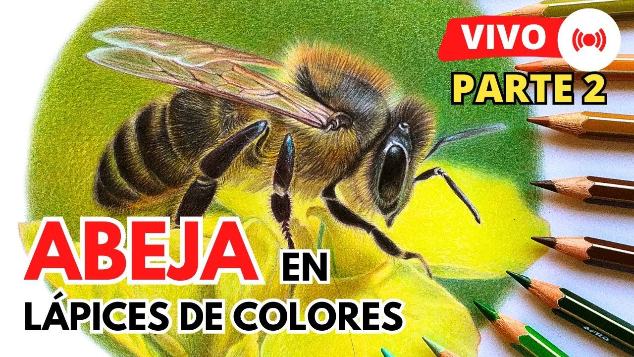 Como DIBUJAR una ABEJA Realista LÁPICES DE COLORES | Parte 2 | How to DRAW a realistic BEE 🐝