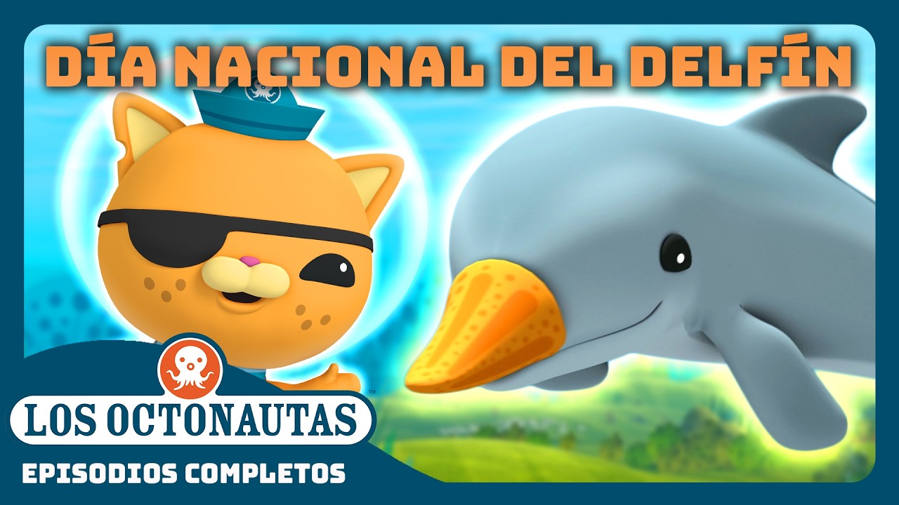 Los Octonautas - 🤿 D&iacute;a Nacional del Delf&iacute;n 🐬 | Compilado | Episodios Completos