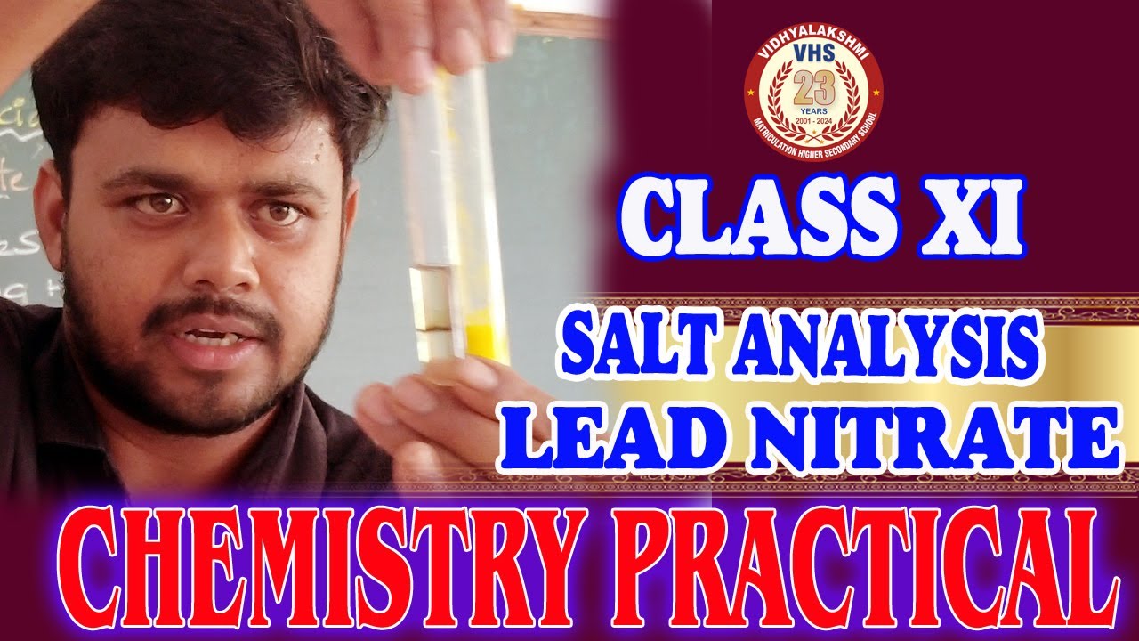 🔥🔥💥 CLASS XI- CHEMISTRY PRACTICALS / SALT ANALYSIS - LEAD NITRATE