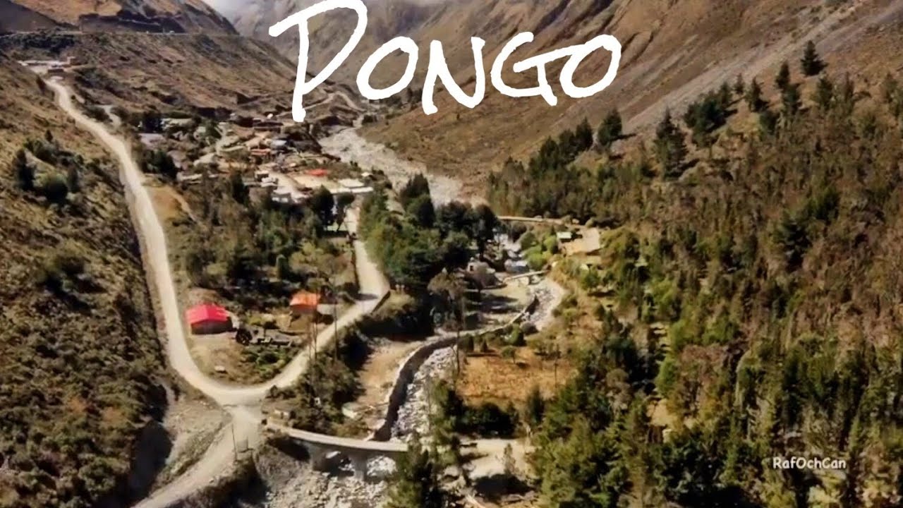 Pongo La Paz - Bolivia
