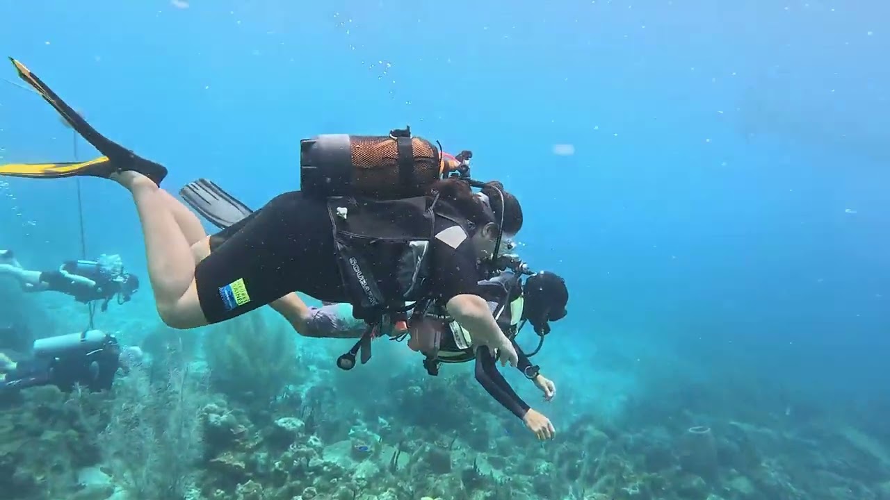 Plongée En Guadeloupe Réserve Cousteau 4K