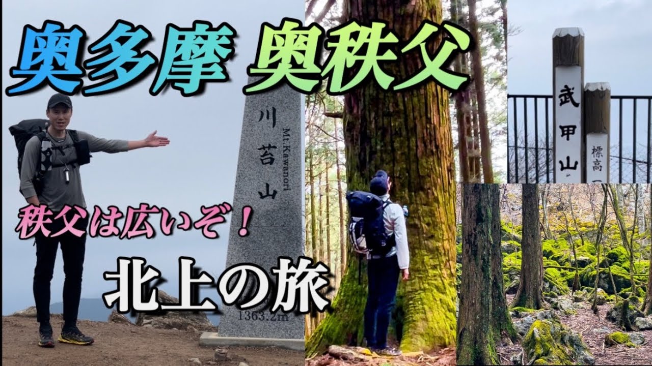 【川苔山武甲山】奥多摩から三大急登を通り奥秩父まで歩いてきました。本仁田山|川苔山|大持山|小持山|武甲山@奥武蔵ロングトレイル