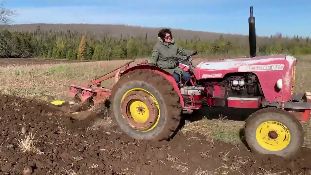 David Brown Plow day at Roundhill Farm 2019
