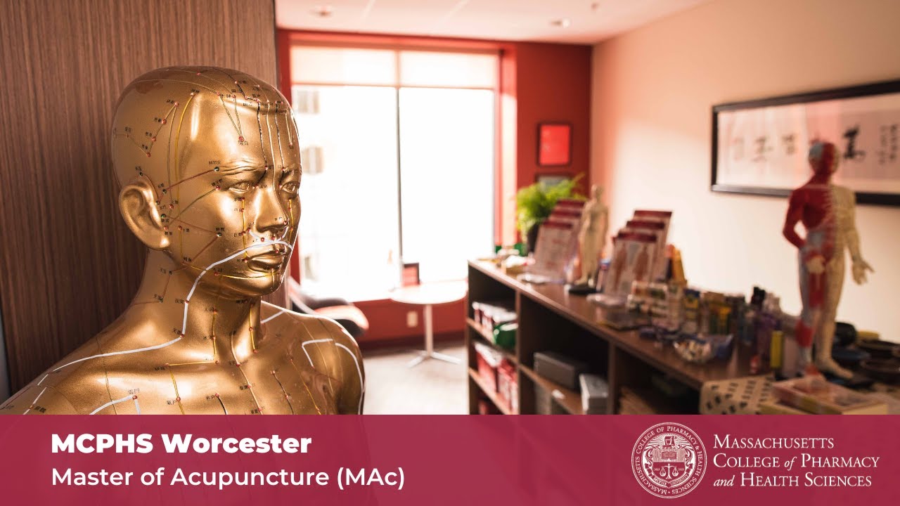 MCPHS Worcester: Master of Acupuncture (MAc)